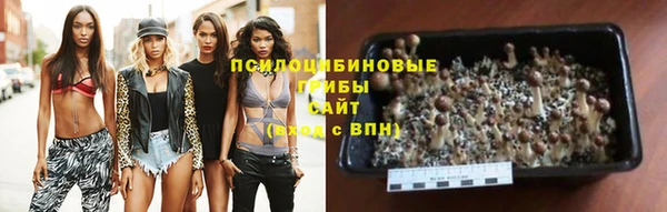 ПСИЛОЦИБИНОВЫЕ ГРИБЫ Алексин