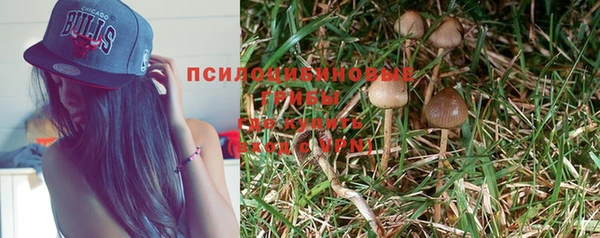 ПСИЛОЦИБИНОВЫЕ ГРИБЫ Алексин