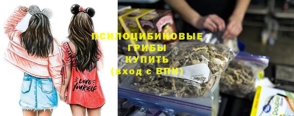 скорость Алзамай