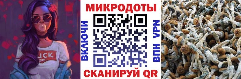 Галлюциногенные грибы Cubensis  Обоянь 
